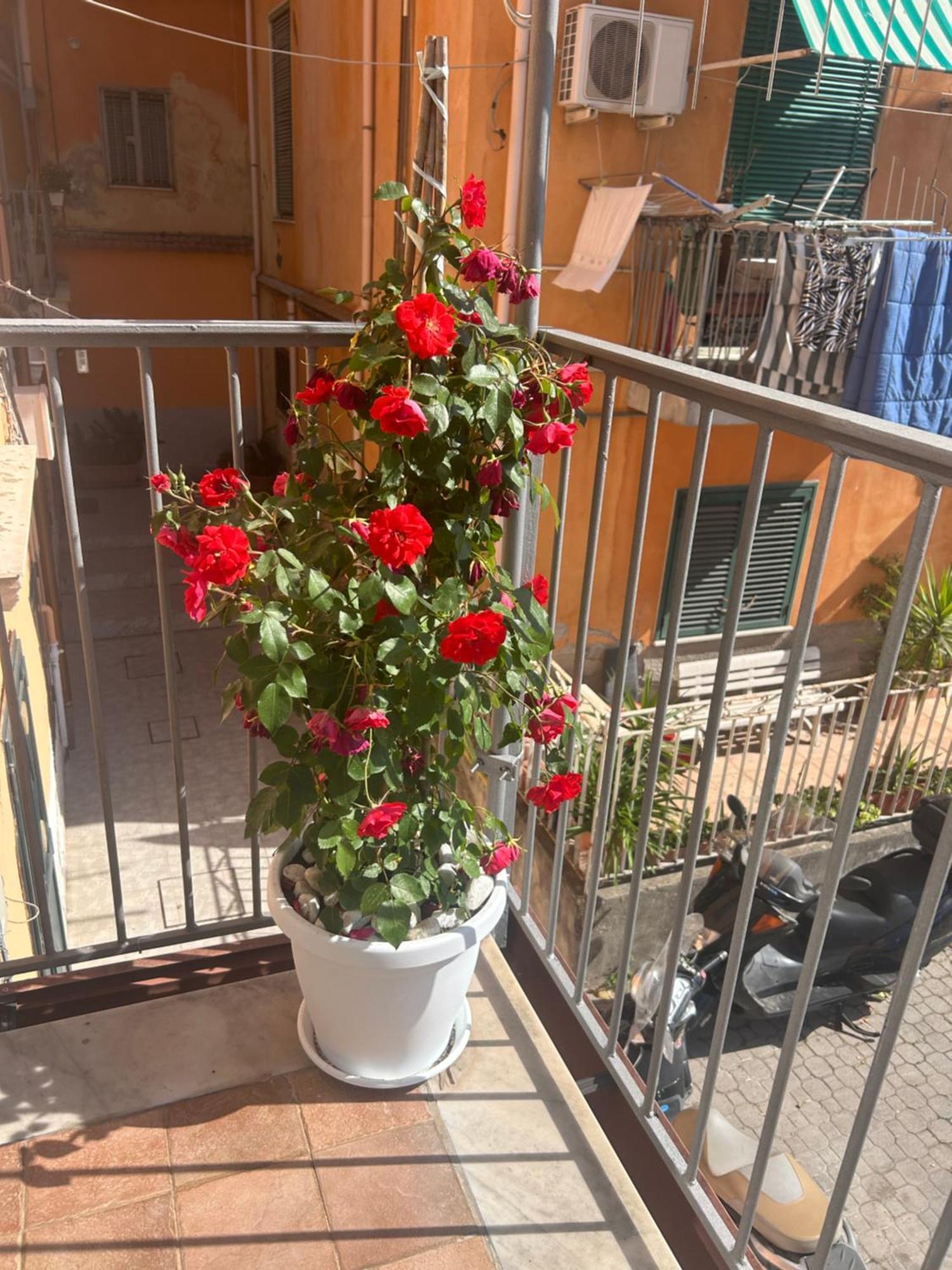 Apartment Sissi House Salerno