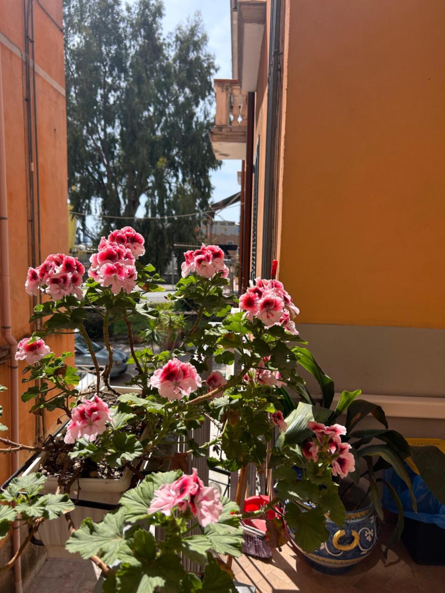 Sissi House Apartment Salerno